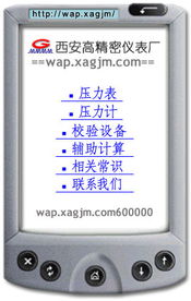 西安高精密仪表厂无线互联网产品信息服务网站正式开通